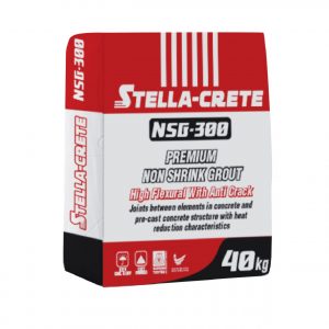 NSG-300
